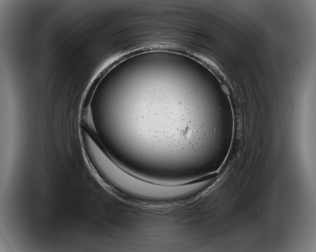 X0000086311038200704201958