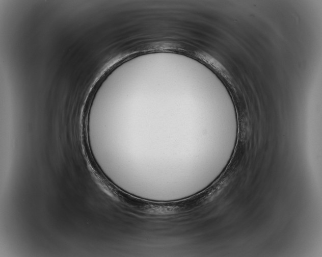 X0000086311039200704201958