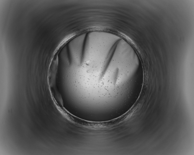 X0000086311042200704201958