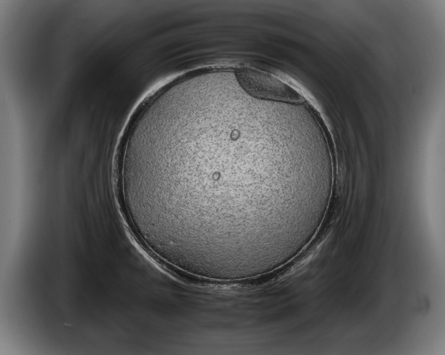 X0000086311045200704201958