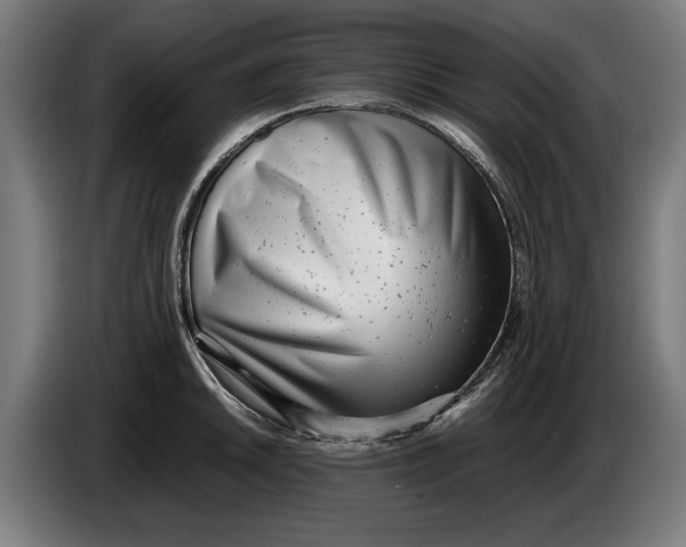 X0000086311046200704201958