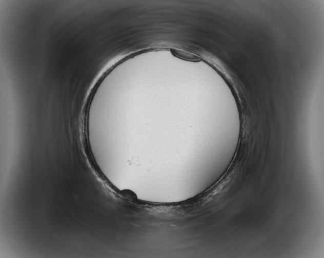 X0000086311048200704201958