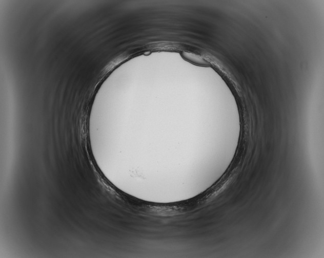 X0000086311049200704201958