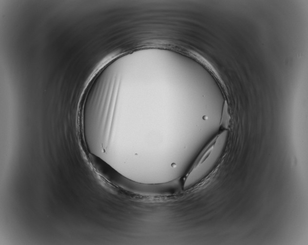 X0000086311050200704201958