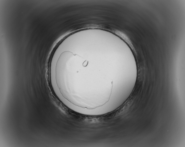 X0000086311051200704201958