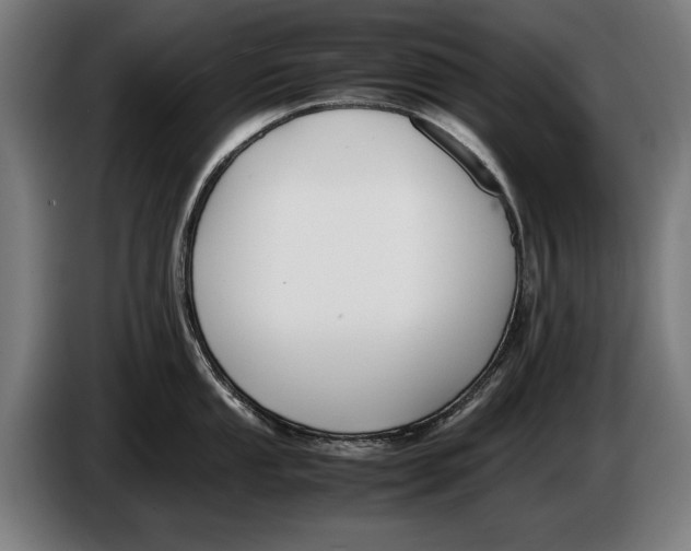 X0000086311053200704201958