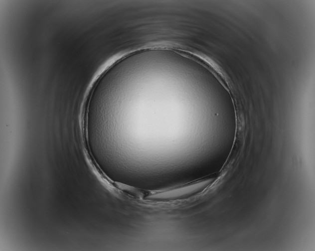 X0000086311054200704201958