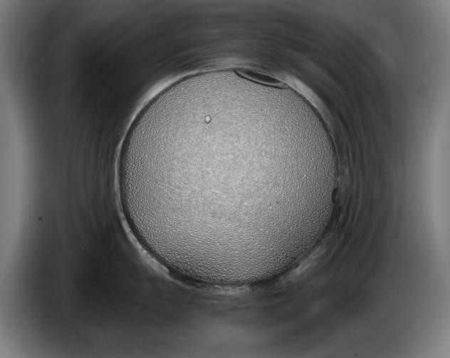 X0000086311055200704201958