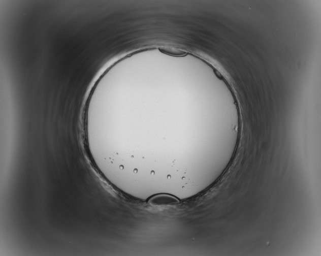 X0000086311056200704201958