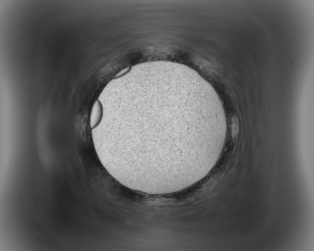 X0000086311059200704201958