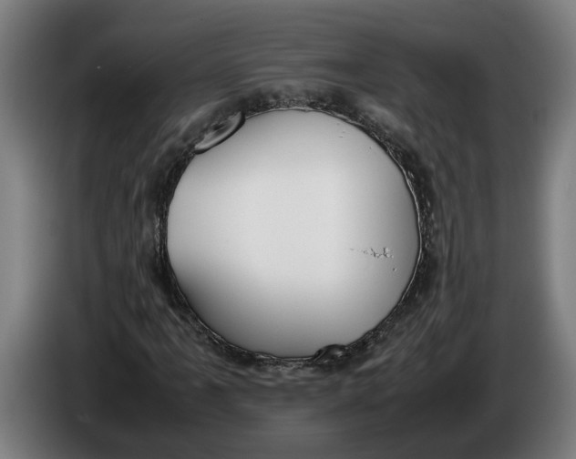 X0000086311061200704201958