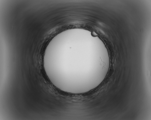 X0000086311062200704201958