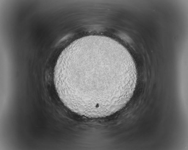 X0000086311063200704201958