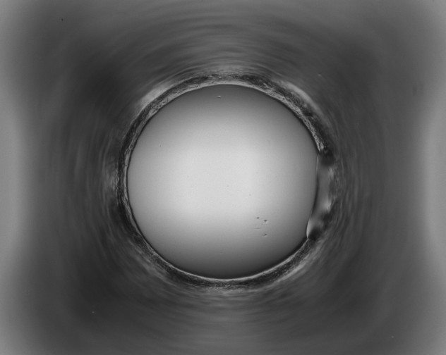 X0000086311065200704201958