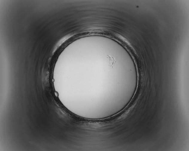 X0000086311066200704201958