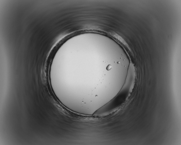 X0000086311068200704201958