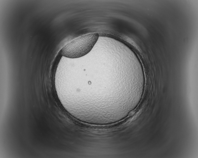 X0000086311071200704201958