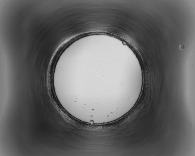 X0000086311072200704201958