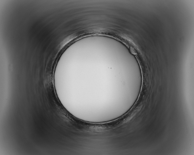 X0000086311073200704201958