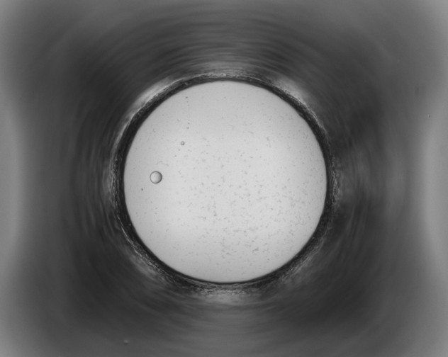 X0000086311074200704201958
