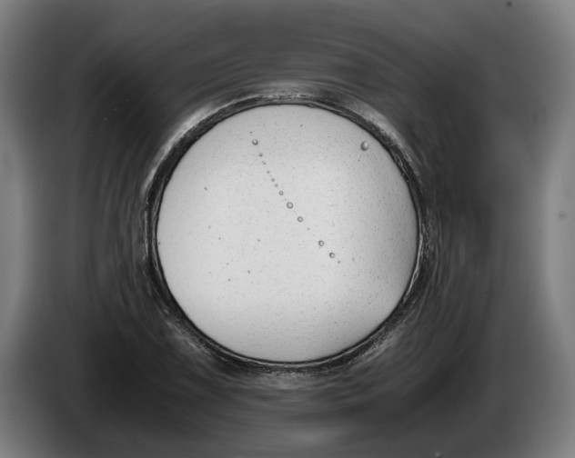 X0000086311075200704201958