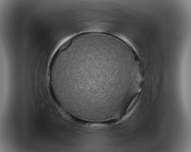 X0000086311077200704201958