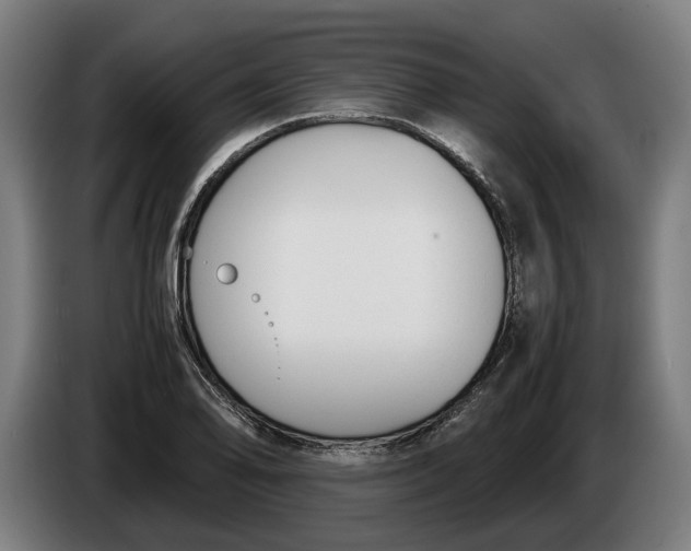 X0000086311078200704201958