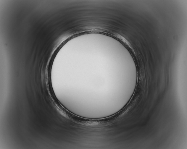 X0000086311082200704201958