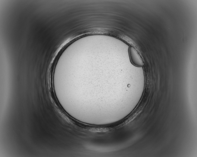X0000086311083200704201958