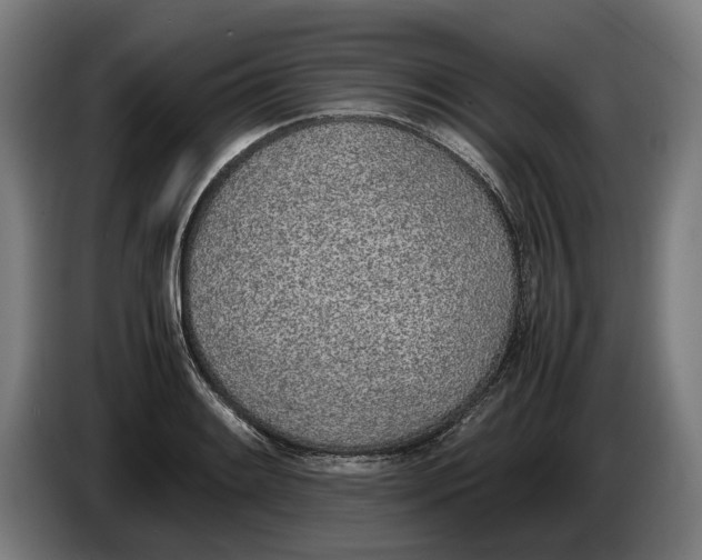 X0000086311084200704201958
