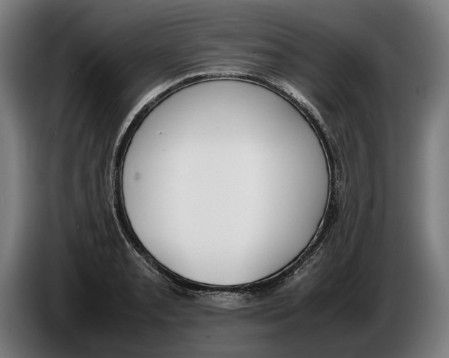 X0000086311085200704201958