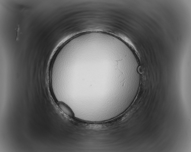 X0000086311088200704201957