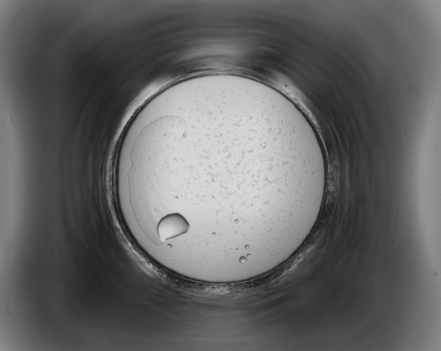 X0000086311098200704201957