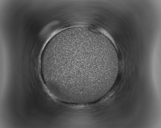 X0000086311099200704201957