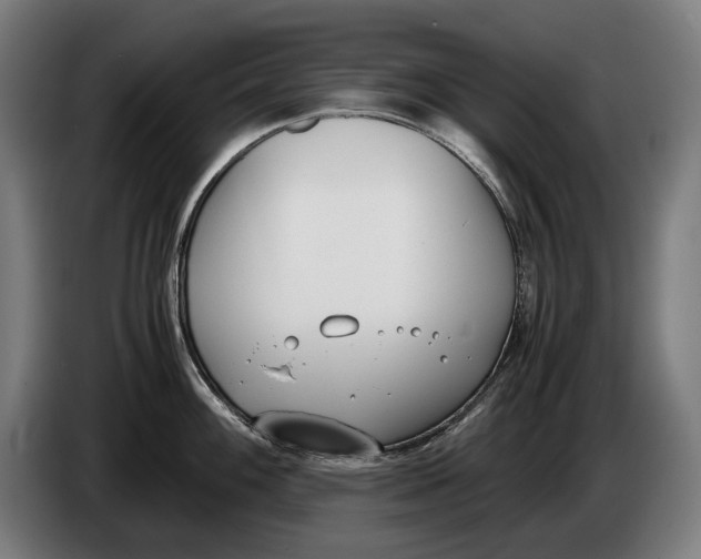 X0000086311100200704201957