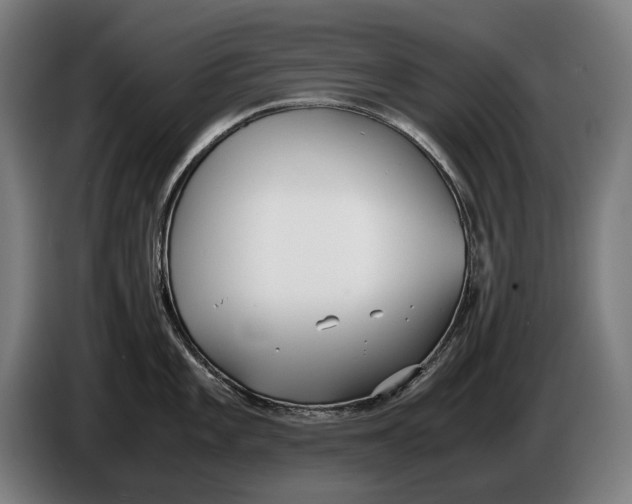 X0000086311101200704201957
