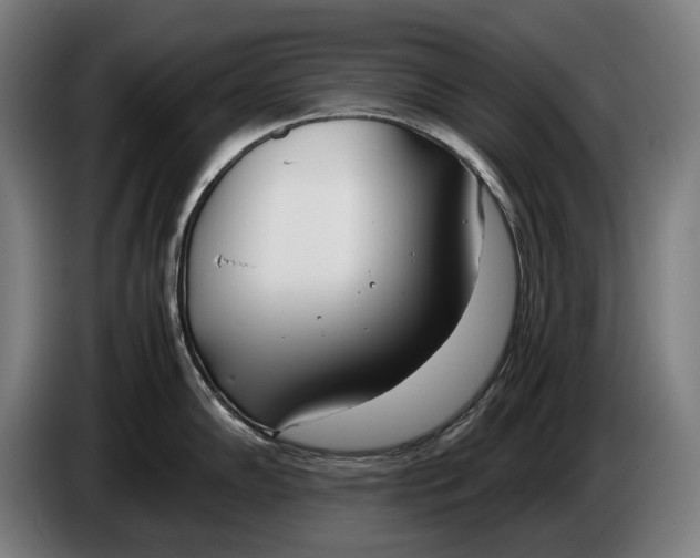 X0000086311102200704201957