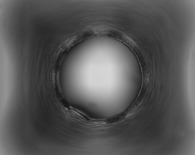 X0000086311108200704201957