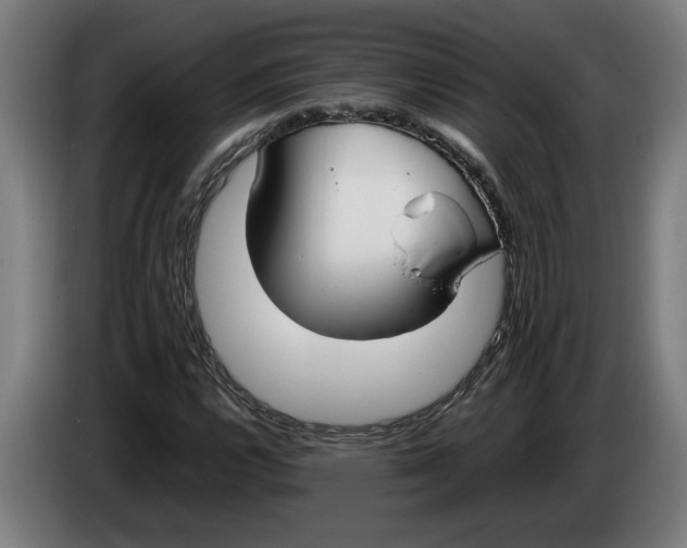 X0000086311112200704201957
