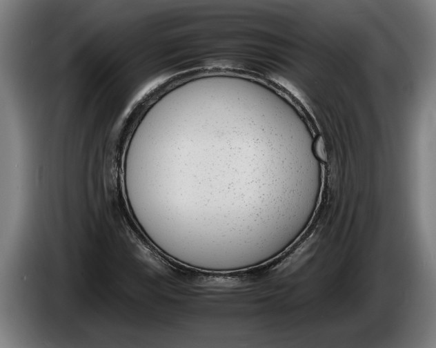 X0000086311115200704201957