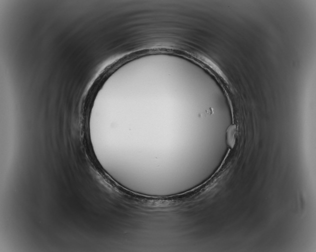 X0000086311116200704201957