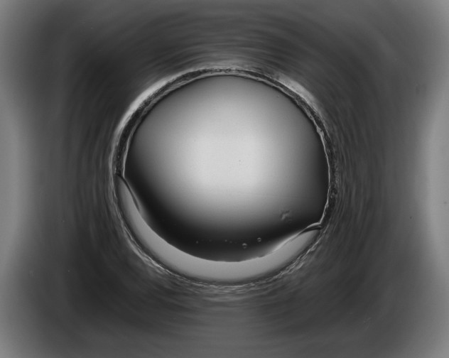 X0000086311120200704201957