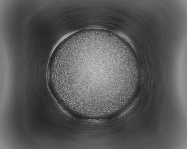 X0000086311125200704201957
