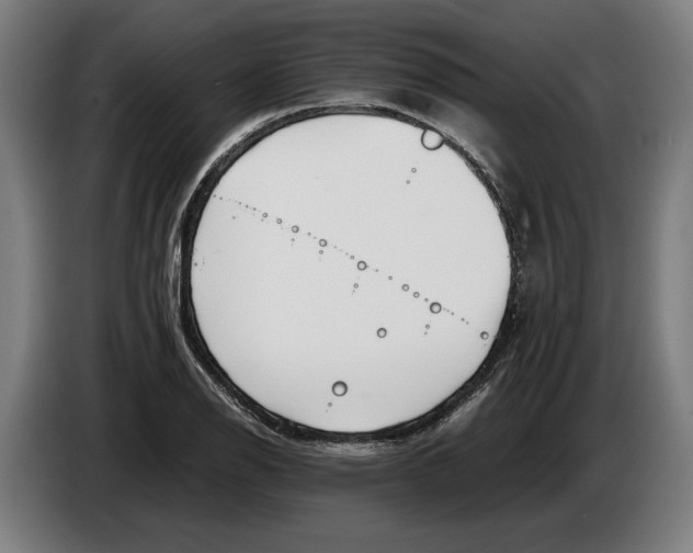 X0000086311126200704201957