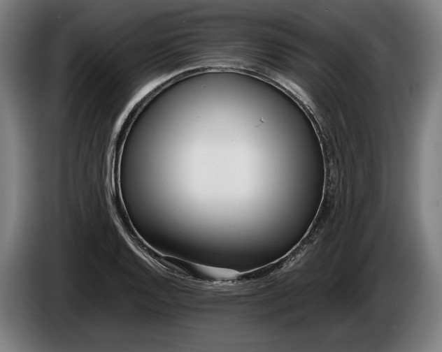 X0000086311128200704201957