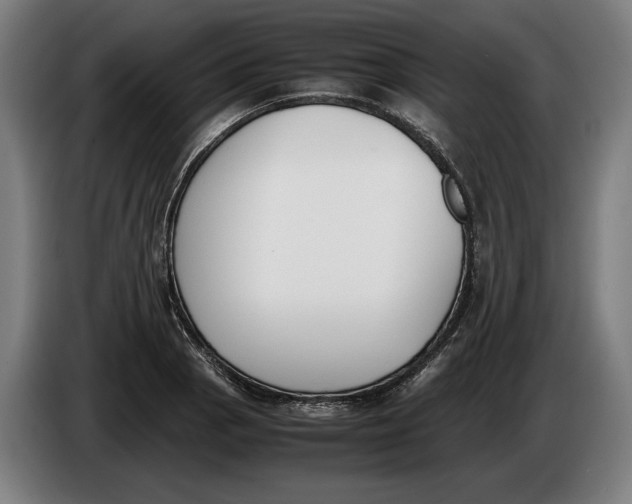 X0000086311129200704201957