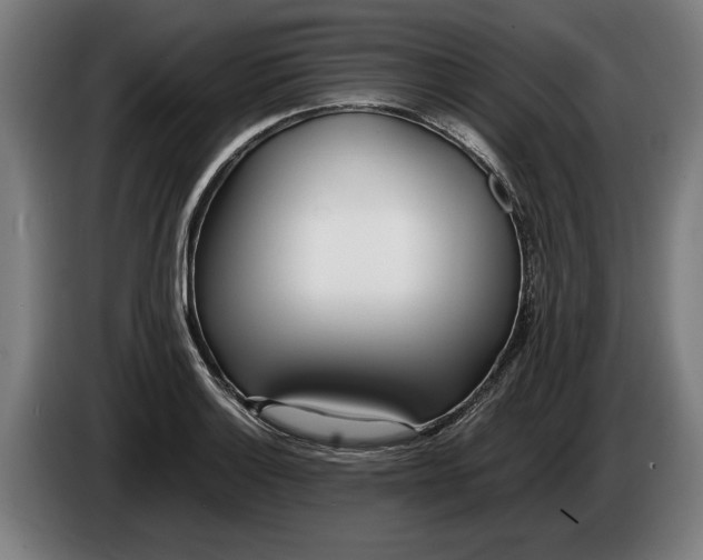 X0000086311132200704201957