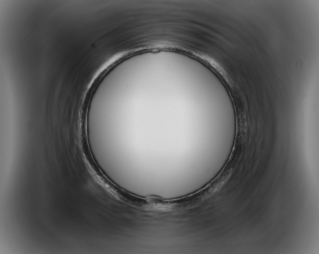 X0000086311134200704201957