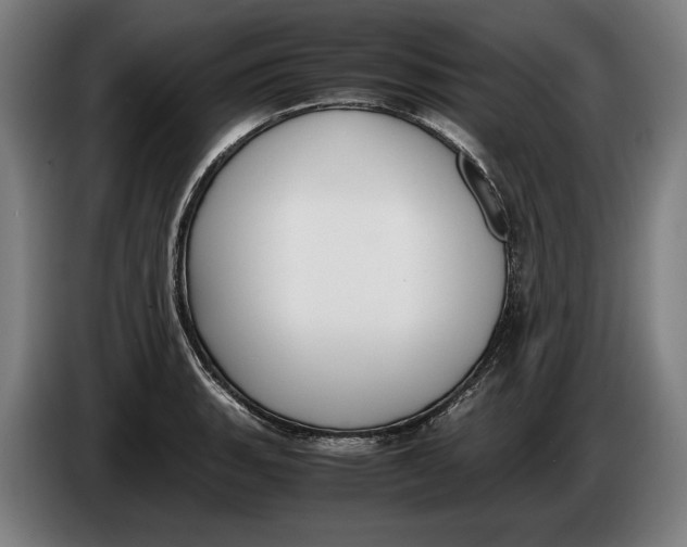 X0000086311135200704201957