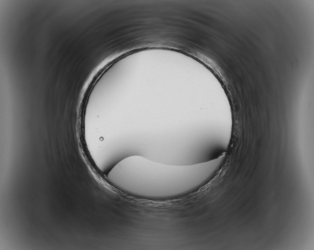 X0000086311136200704201957